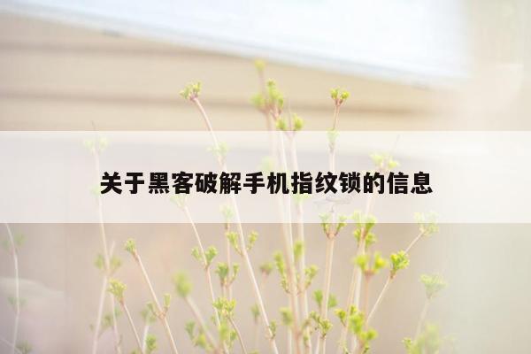 关于黑客破解手机指纹锁的信息