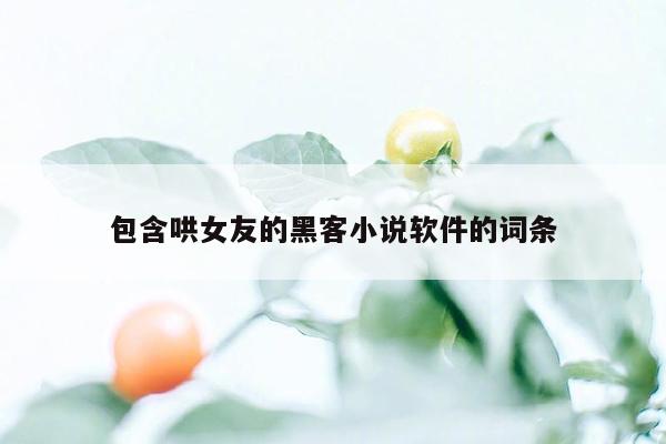 包含哄女友的黑客小说软件的词条