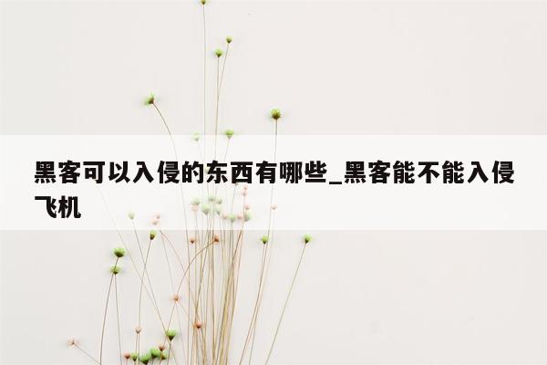 黑客可以入侵的东西有哪些_黑客能不能入侵飞机