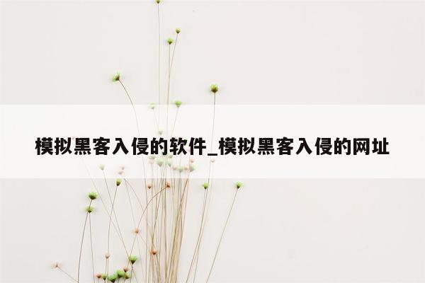 模拟黑客入侵的软件_模拟黑客入侵的网址