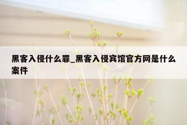 黑客入侵什么罪_黑客入侵宾馆官方网是什么案件