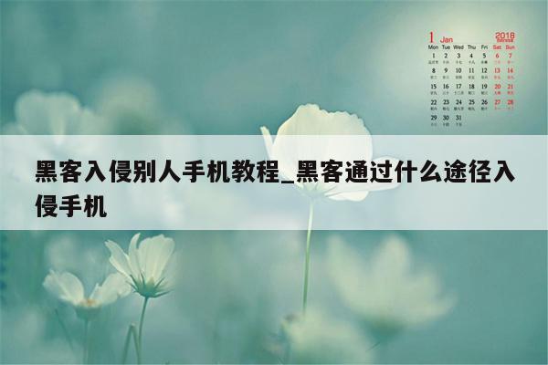 黑客入侵别人手机教程_黑客通过什么途径入侵手机