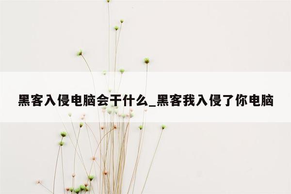 黑客入侵电脑会干什么_黑客我入侵了你电脑