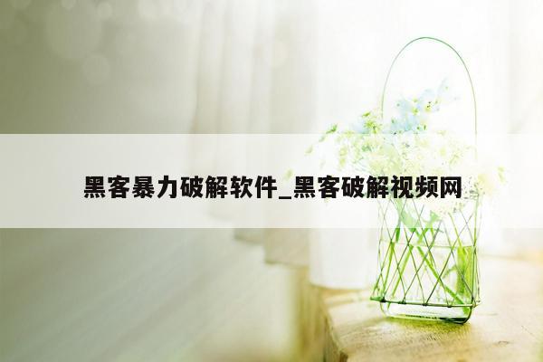 黑客暴力破解软件_黑客破解视频网