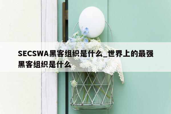 SECSWA黑客组织是什么_世界上的最强黑客组织是什么