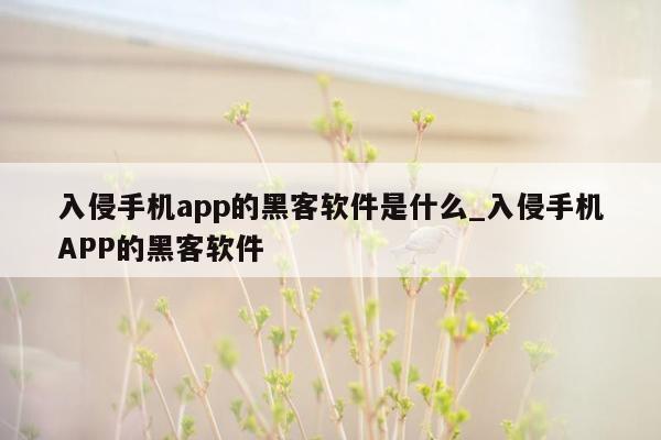 入侵手机app的黑客软件是什么_入侵手机APP的黑客软件