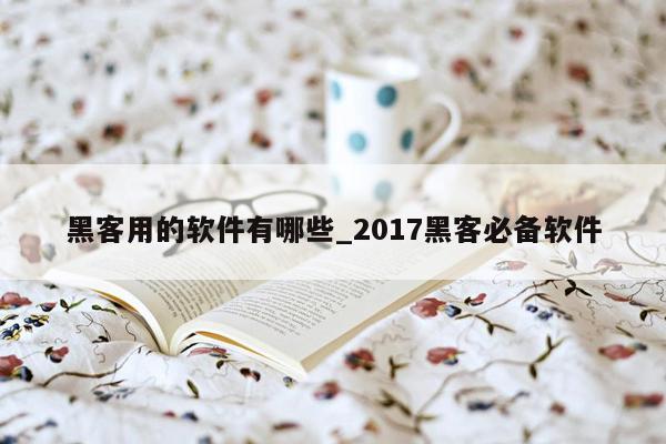 黑客用的软件有哪些_2017黑客必备软件