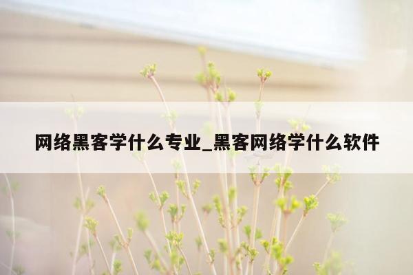 网络黑客学什么专业_黑客网络学什么软件