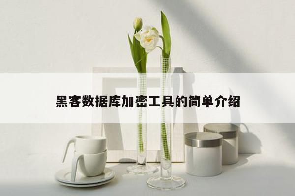 黑客数据库加密工具的简单介绍