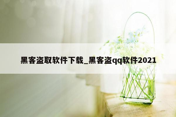 黑客盗取软件下载_黑客盗qq软件2021