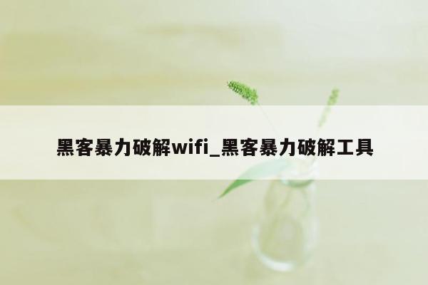 黑客暴力破解wifi_黑客暴力破解工具