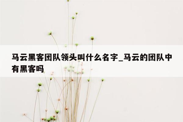 马云黑客团队领头叫什么名字_马云的团队中有黑客吗