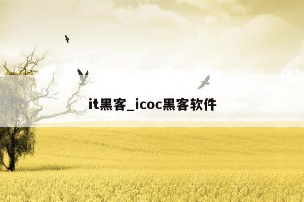 it黑客_icoc黑客软件