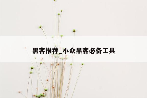 黑客推荐_小众黑客必备工具