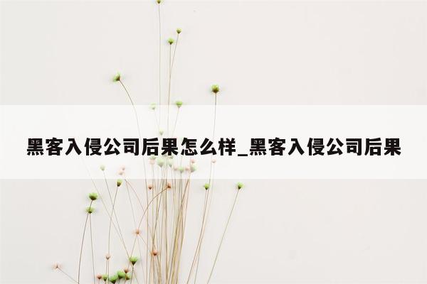 黑客入侵公司后果怎么样_黑客入侵公司后果