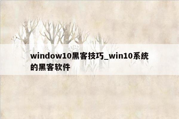 window10黑客技巧_win10系统的黑客软件