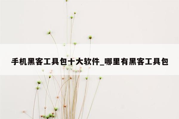 手机黑客工具包十大软件_哪里有黑客工具包