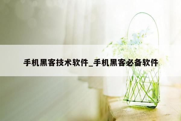 手机黑客技术软件_手机黑客必备软件