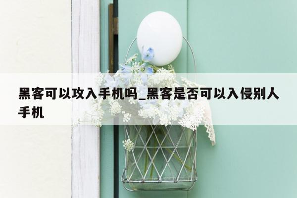 黑客可以攻入手机吗_黑客是否可以入侵别人手机