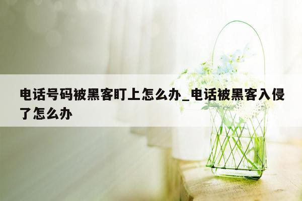 电话号码被黑客盯上怎么办_电话被黑客入侵了怎么办