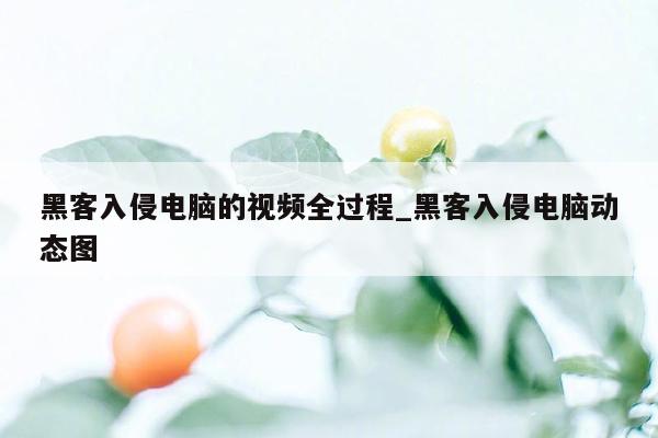 黑客入侵电脑的视频全过程_黑客入侵电脑动态图