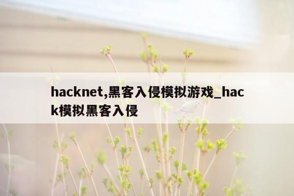 hacknet,黑客入侵模拟游戏_hack模拟黑客入侵