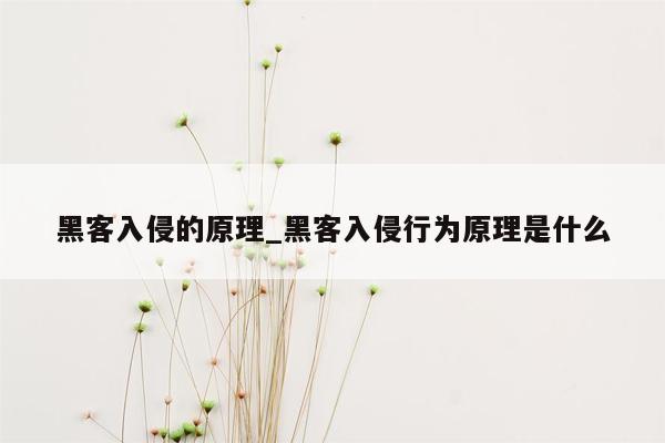 黑客入侵的原理_黑客入侵行为原理是什么