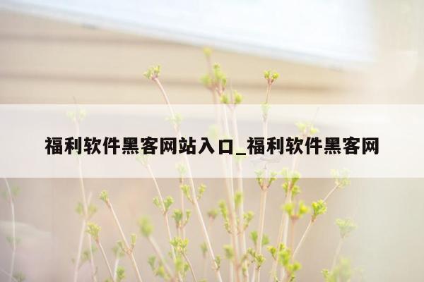 福利软件黑客网站入口_福利软件黑客网