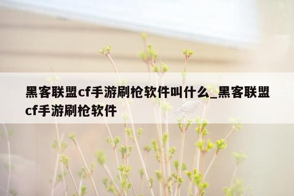 黑客联盟cf手游刷枪软件叫什么_黑客联盟cf手游刷枪软件