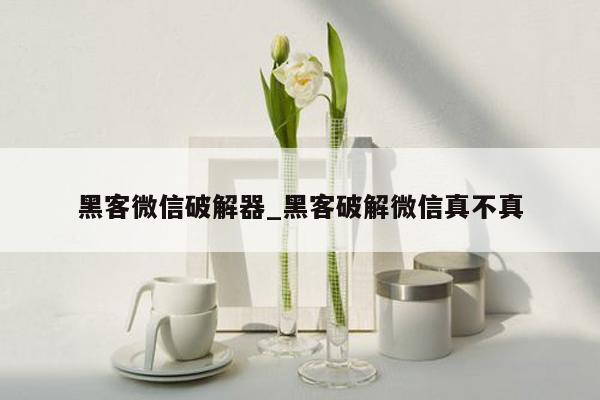 黑客微信破解器_黑客破解微信真不真