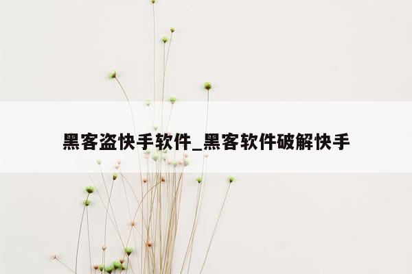 黑客盗快手软件_黑客软件破解快手