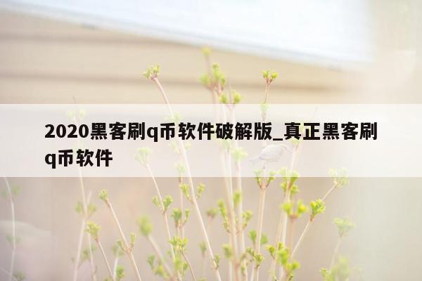 2020黑客刷q币软件破解版_真正黑客刷q币软件