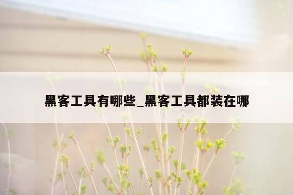 黑客工具有哪些_黑客工具都装在哪