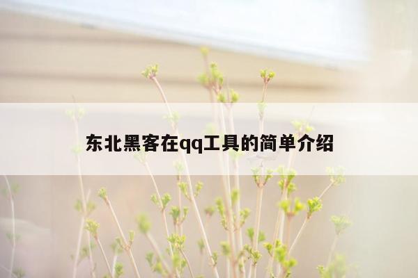 东北黑客在qq工具的简单介绍