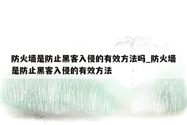 防火墙是防止黑客入侵的有效方法吗_防火墙是防止黑客入侵的有效方法