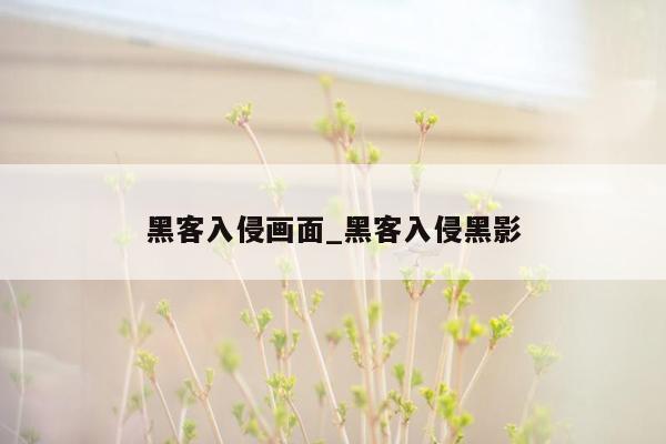 黑客入侵画面_黑客入侵黑影