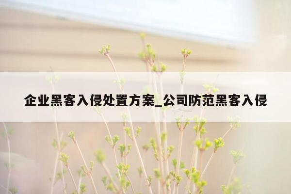 企业黑客入侵处置方案_公司防范黑客入侵