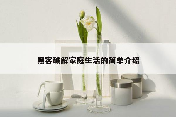 黑客破解家庭生活的简单介绍