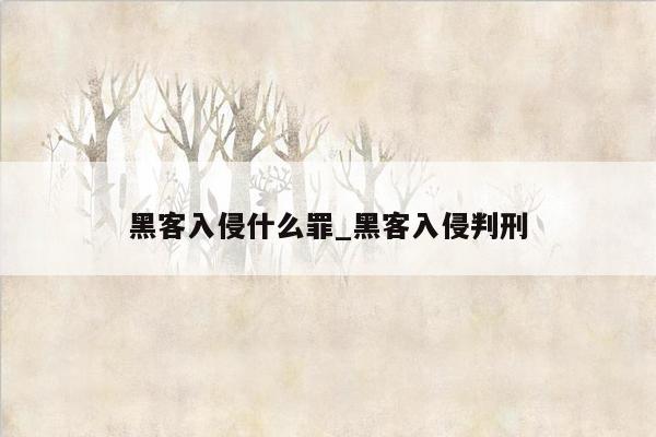 黑客入侵什么罪_黑客入侵判刑