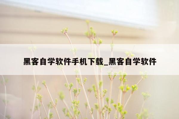 黑客自学软件手机下载_黑客自学软件