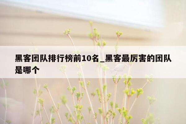 黑客团队排行榜前10名_黑客最厉害的团队是哪个