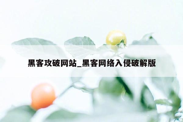 黑客攻破网站_黑客网络入侵破解版