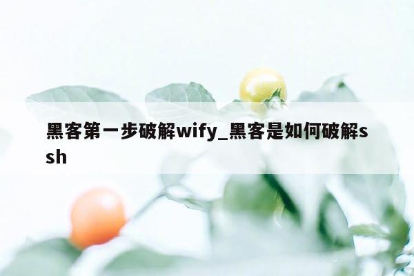 黑客第一步破解wify_黑客是如何破解ssh