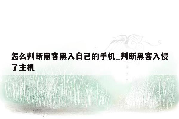 怎么判断黑客黑入自己的手机_判断黑客入侵了主机