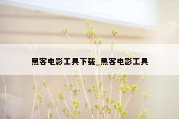 黑客电影工具下载_黑客电影工具