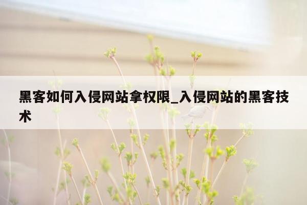 黑客如何入侵网站拿权限_入侵网站的黑客技术