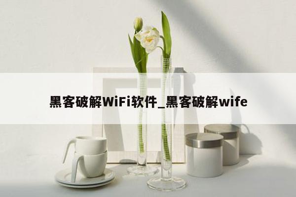 黑客破解WiFi软件_黑客破解wife