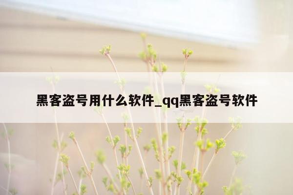 黑客盗号用什么软件_qq黑客盗号软件