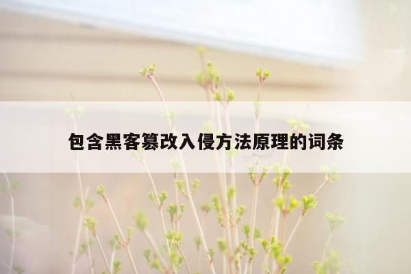 包含黑客篡改入侵方法原理的词条