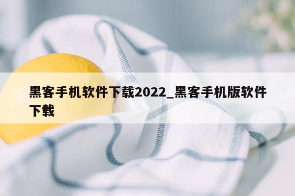 黑客手机软件下载2022_黑客手机版软件下载